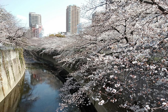 Tokyo 1-Day Private Tour/Customization & Hotel Gathering OK! - Pricing and Inclusions