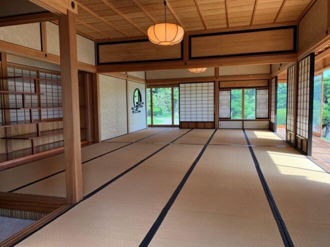 Tokyo: 1-Day Tokyo Private Tailor-made Tour - Tour Guide Expertise