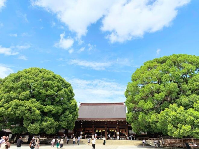 Tokyo: 1-Day Tokyo Private Tailor-made Tour - Booking and Flexibility