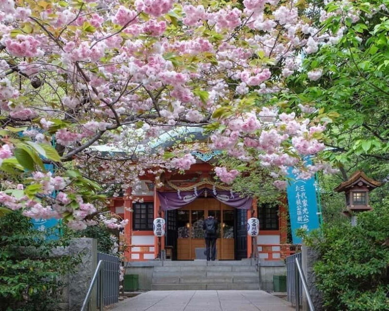 Tokyo: 1-hour Tokyo Tower Scenic Rickshaw Adventure - An In-Depth Look at the Tour Experience