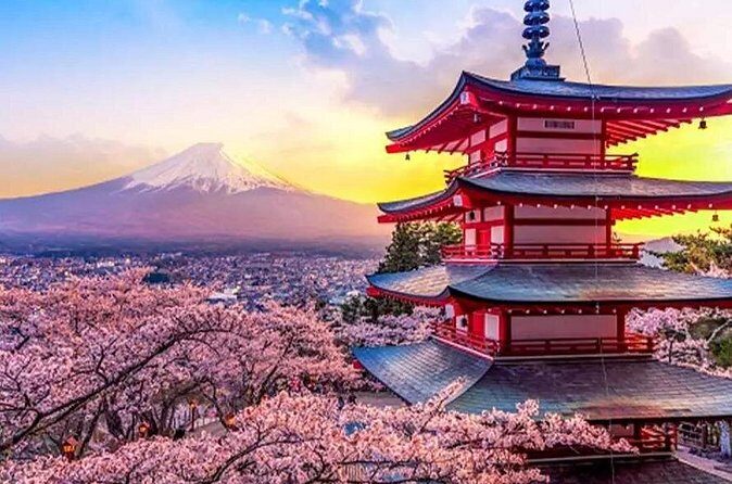 Tokyo 10 Hour Arakurayama Sengen Park & Lake Ashi Private Tour - FAQs