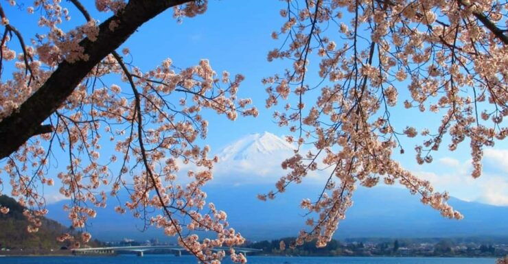 Tokyo: 2-Day Customizable Private Tour With Hotel Transfer - Experience Highlights