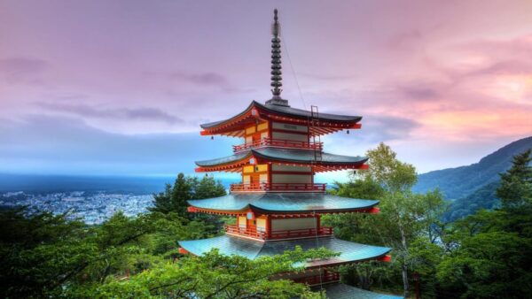 Tokyo: 2-Day Customizable Private Tour With Hotel Transfer - Tips for a Successful Tour