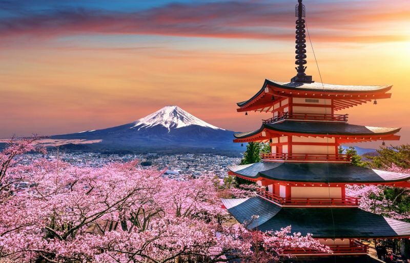 Tokyo: 2-Day Hot Spring Trip to Fuji, Hakone, and Izu - The best parts, at a glance