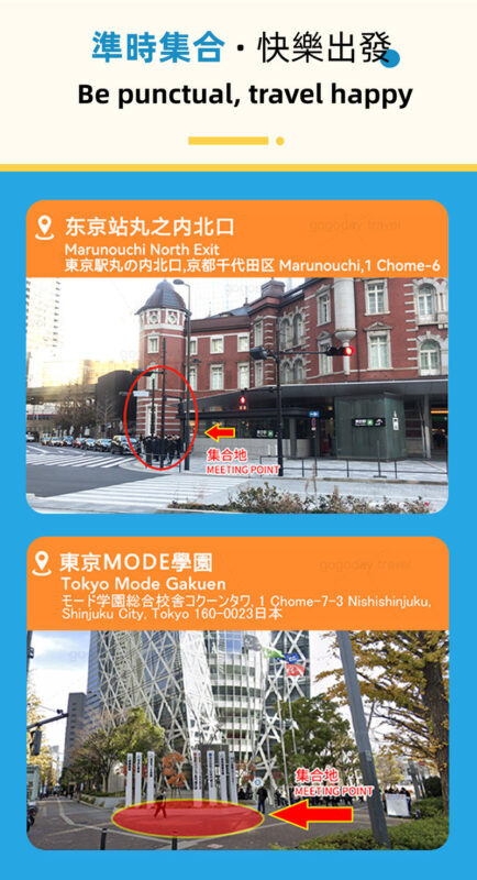 Tokyo: 2-Day Hot Spring Trip to Fuji, Hakone, and Izu - Guide language, weather and pace