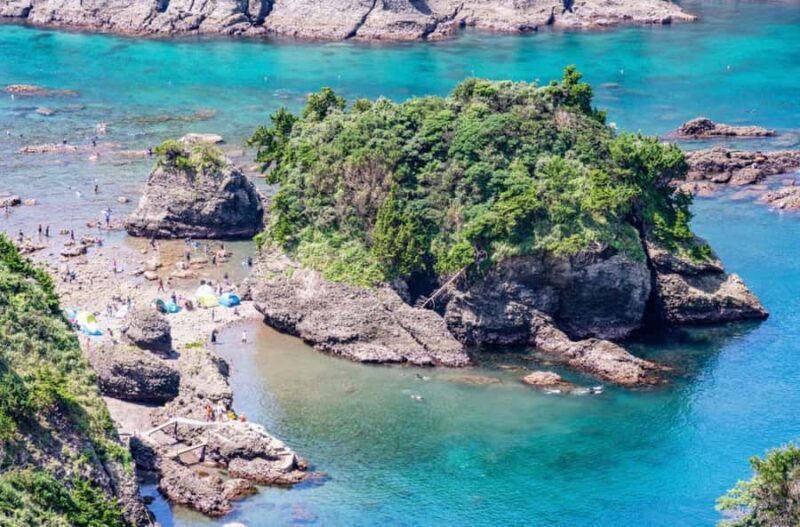 Tokyo: 2-Day Izu Coast & Cherry Blossom Trip in small group - Practical Details and Value