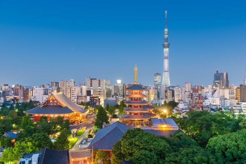 Tokyo: 2-Day Private Tour Tokyo City & Mt. Fuji or Hakone. - What to Expect: Comfort, Flexibility, and Cultural Insights