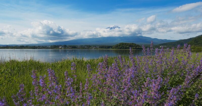 Tokyo: 2-Day Private Tour Tokyo City & Mt. Fuji or Hakone. - FAQ