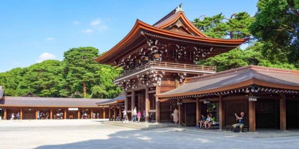 Tokyo: 2-Day Tour Tokyo With Mt. Fuji and Hakone Day Trip - Cultural Etiquette and Recommendations
