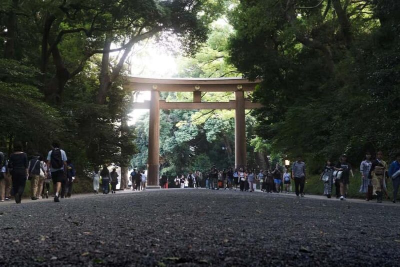 Tokyo: 2-hour Early Morning E-bike Tour of Shrines - Who Would Love This Tour?  
