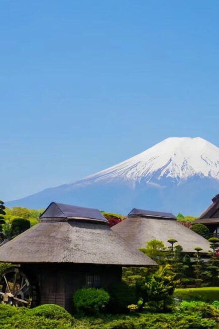 TOKYO 23 Wards One Day Trip - Booking Process