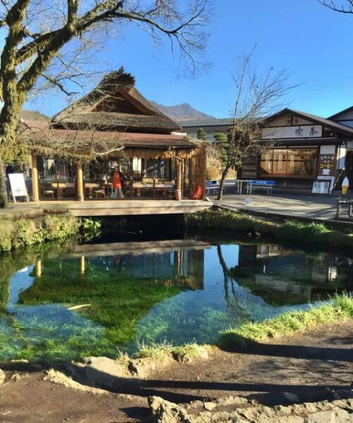 TOKYO 23 Wards One Day Trip - Frequently Asked Questions