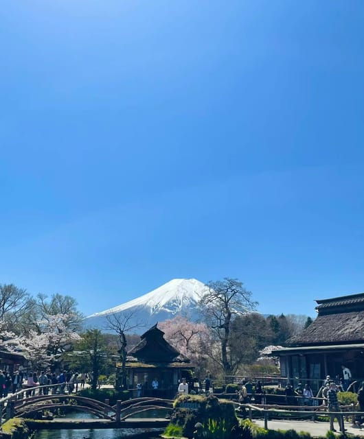 Tokyo 23wards-Fuji Day Tour: 10 Hours Private Car Use - Driver and Language Support
