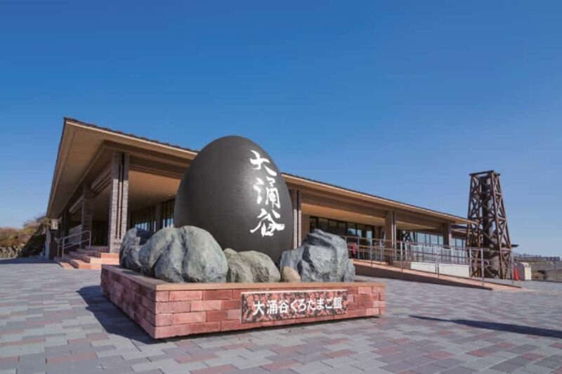 Tokyo: 3-Day Tea-Picking and Surfing in Shizuoka - The Sum Up