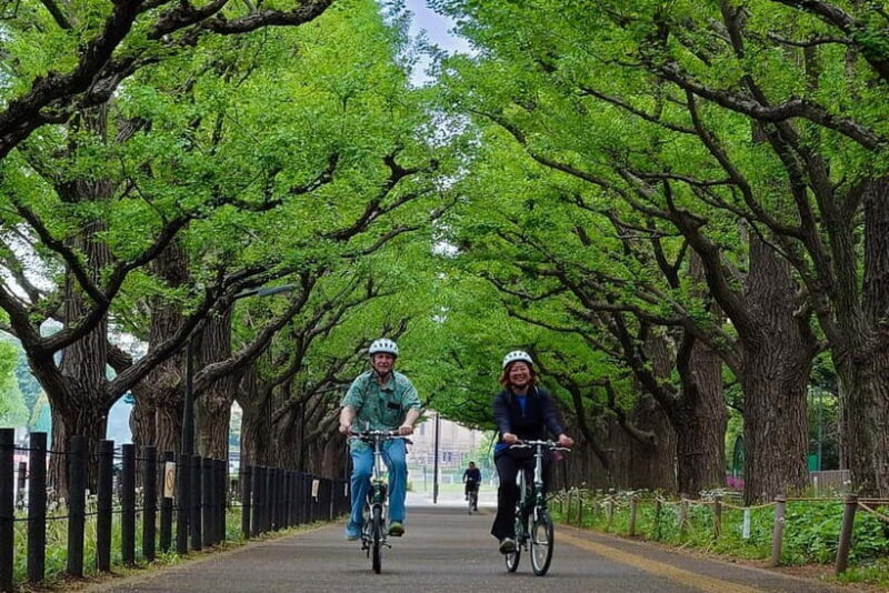 Tokyo: 3h Private E-bike Tours, Starting at Your Hotel - Good To Know