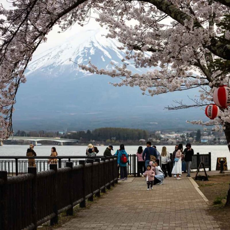 Tokyo: 4-Day Private Tour Nikko, Nagano, Mount Fuji & Tokyo - Good To Know