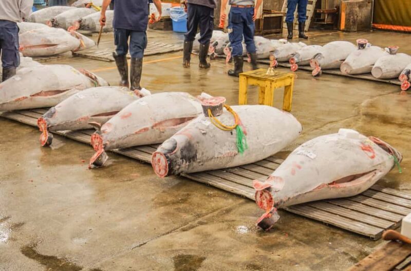 Tokyo: 4-Hour Tsukiji Market & Asakusa Old Town Tour - Who Is This Tour Best For?