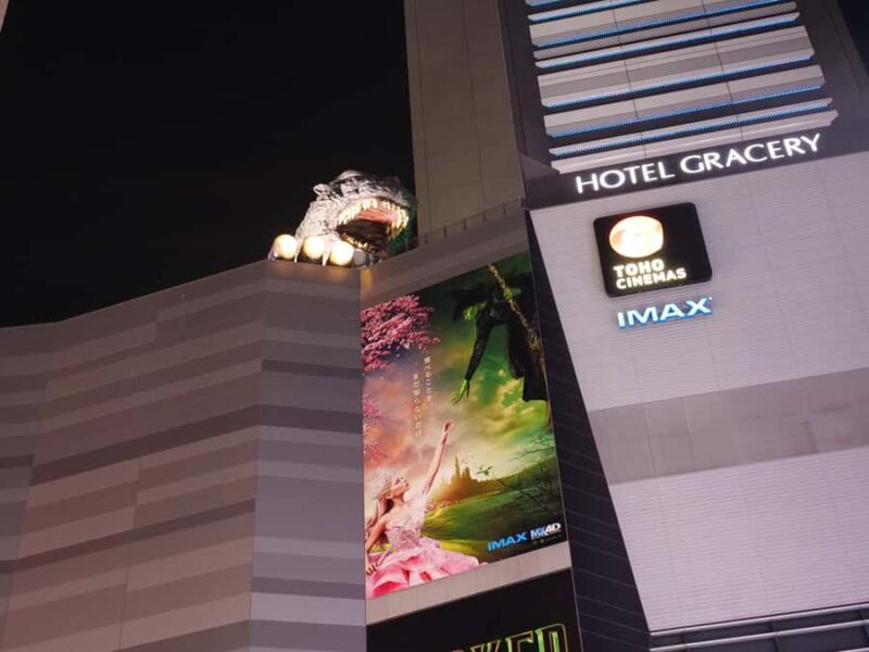 Tokyo: 4 Hours Shibuya - Shinjuku Night Tour - Authentic Experiences Revealed by Reviewers