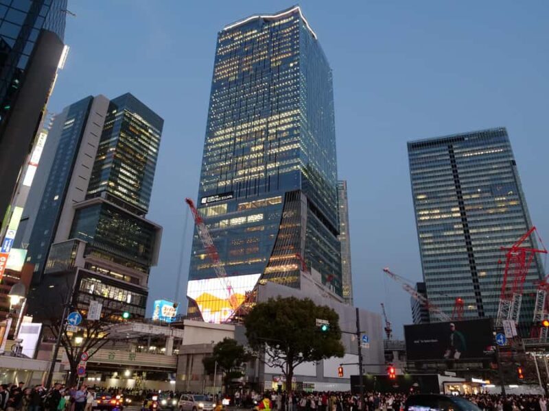 Tokyo: 4 Hours Shibuya - Shinjuku Night Tour - The Sum Up: Who Is This Tour Perfect For?