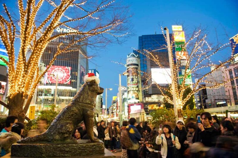 Tokyo: 4 Hours Shibuya - Shinjuku Night Tour - Final Thoughts: Who Will Love This Tour?