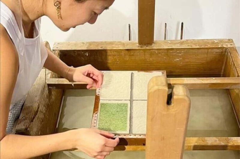 Tokyo 5hr Private Guided Tour & Washi Papermaking - Authentic Experience & Insights