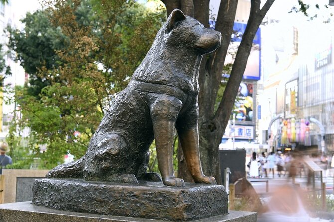 Tokyo 7-Hour Free Choice Tour - Booking Information