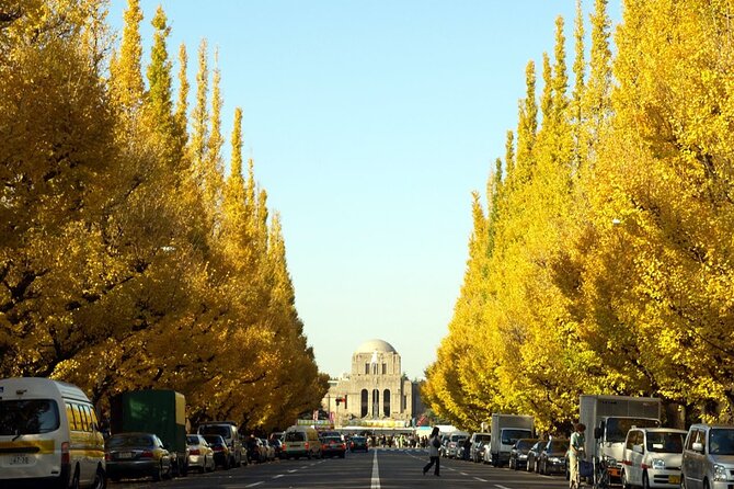 Tokyo 7-Hour Free Choice Tour - The Sum Up