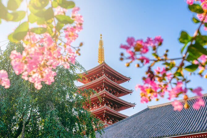 Tokyo 8 Hour Senso-ji & Tsukiji Outer Market & Ginza Private Tour - Good To Know  