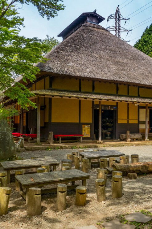Tokyo: a Full Day Trip of Mount Hakone Including Travel Pass - Good To Know
