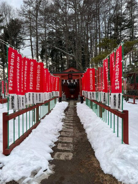 Tokyo: A Memorabele Snow Monkey Park and Zenkoji Temple Tour - Customizable Tour Options
