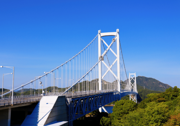Tokyo: a Premium Private Transfer To/From Hiroshima(1 Way) - Accessibility Options