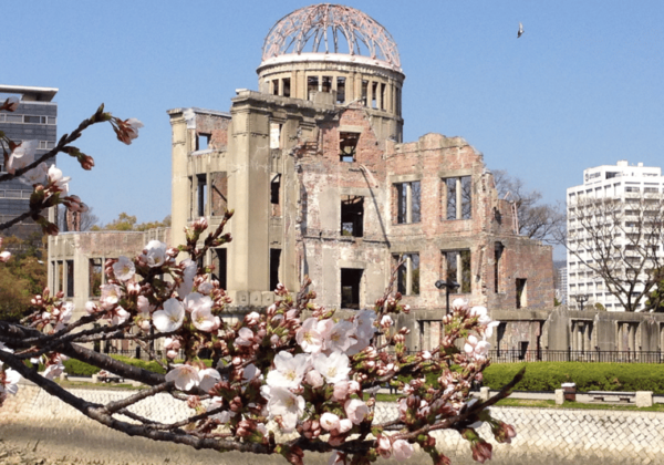 Tokyo: a Premium Private Transfer To/From Hiroshima(1 Way) - Tips for a Smooth Journey