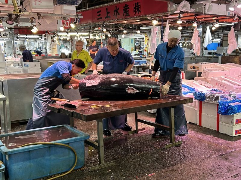 Tokyo Adachi Fish Market Half-Day Small Group Walking Tour - What to Know Before You Go
