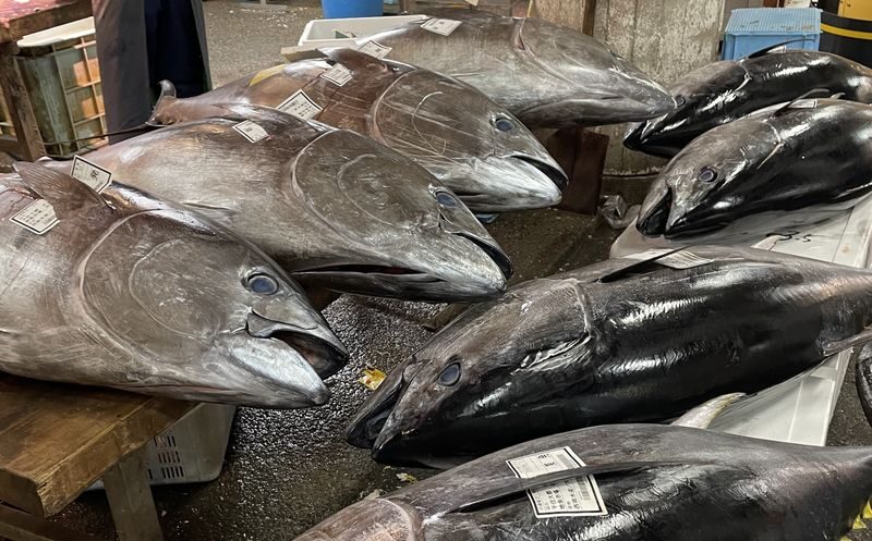 Tokyo Adachi Fish Market Half-Day Small Group Walking Tour - What the Tour Does Not Specify