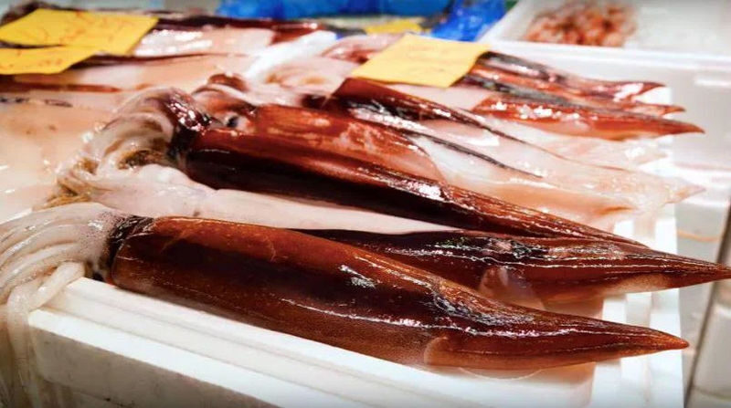Tokyo Adachi Fish Market Half-Day Small Group Walking Tour - Price, Timing, and Cancellation
