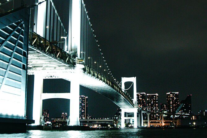 Tokyo After Dark Scenic Night Tour - Who Should Consider This Tour?