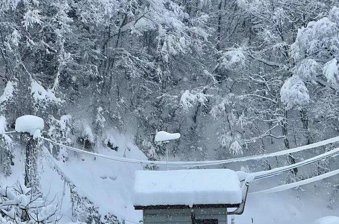 Tokyo Airport Nagano Transfer - The Experience from Reviews and Practical Insights