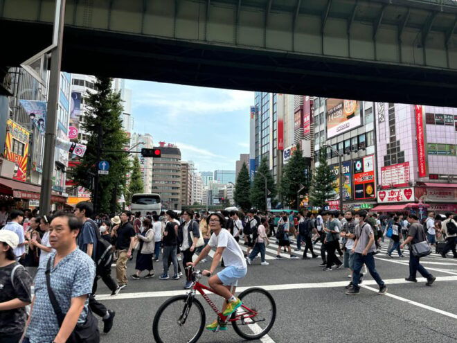 Tokyo: Akihabara Anime and Gaming Private Tour - Cultural Experience