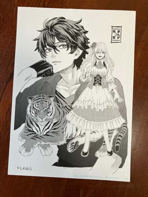 Tokyo Akihabara Anime Manga Tour [Tokyo Manga Teacher] - Authentic Cultural and Creative Experience