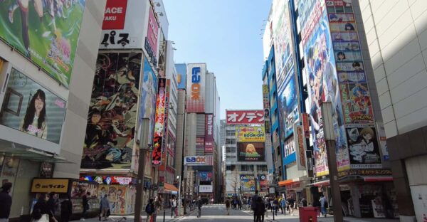 Tokyo Akihabara, Anime, Manga, Video Games & Maid Cafe Tour - Tips for Participants