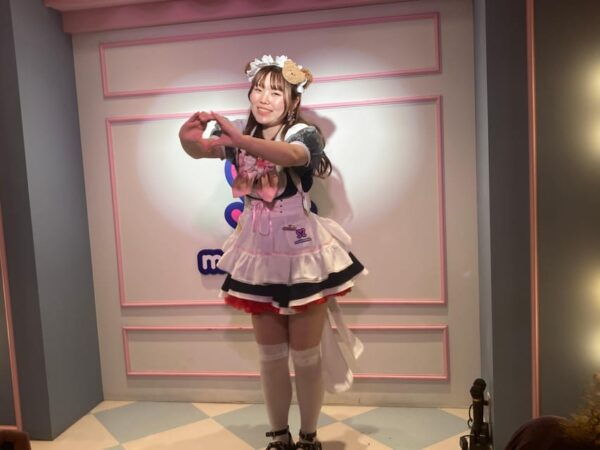 Tokyo Akihabara, Anime, Manga, Video Games & Maid Cafe Tour - Exploring Akihabara