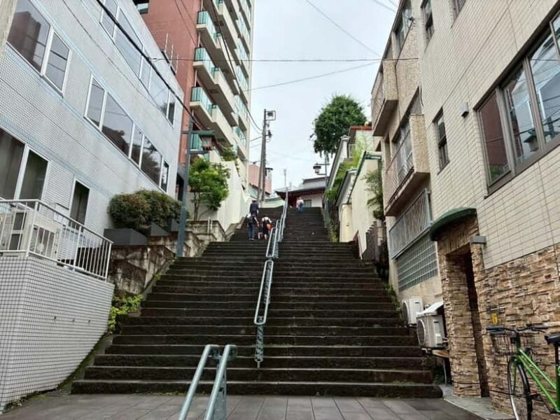 Tokyo: Akihabara Anime Tour with Maid Cafe Entry - Good To Know