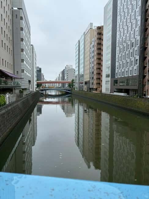 Tokyo: Akihabara Anime Tour with Maid Cafe Entry - Final Thoughts