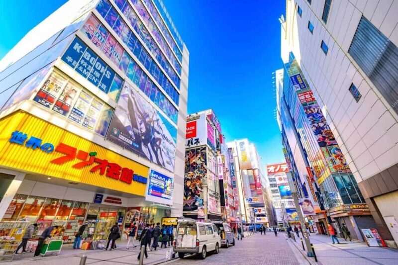 Tokyo Akihabara Anime walking tour & Maid Cafe option - Good To Know