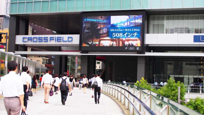 Tokyo Akihabara Anime walking tour & Maid Cafe option - Good To Know