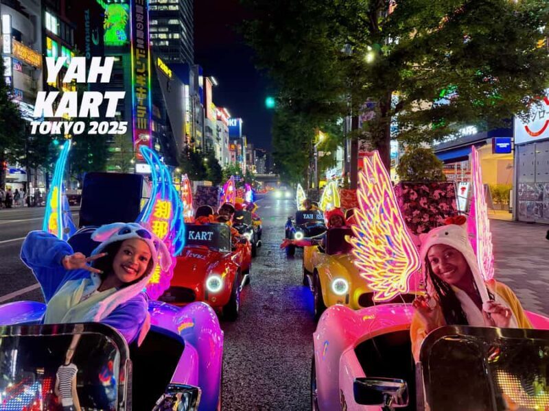 Tokyo: Akihabara Go-Karting Experience (including guide) - The Sum Up