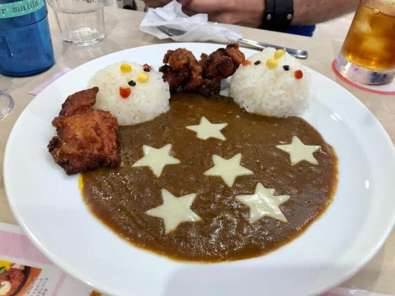 Tokyo: Akihabara Otaku Private Custom Tour - Final Thoughts: Who Is This Tour For?