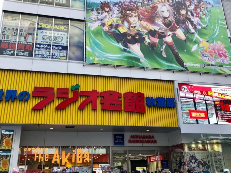 Tokyo: Akihabara Otaku Private Custom Tour - Good To Know