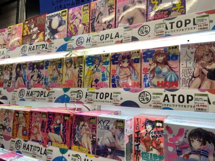 Tokyo: Akihabara Private Hentai Tour - Good To Know