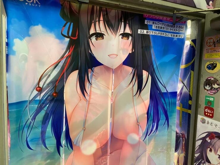 Tokyo: Akihabara Private Hentai Tour - Booking Information